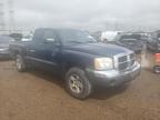 2005 Dodge Dakota Slt იყიდება Elgin-ში, IL - Normal Wear