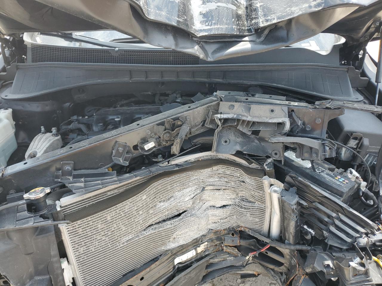 2019 Kia Sorento Ex VIN: 5XYPHDA58KG499443 Lot: 56062324