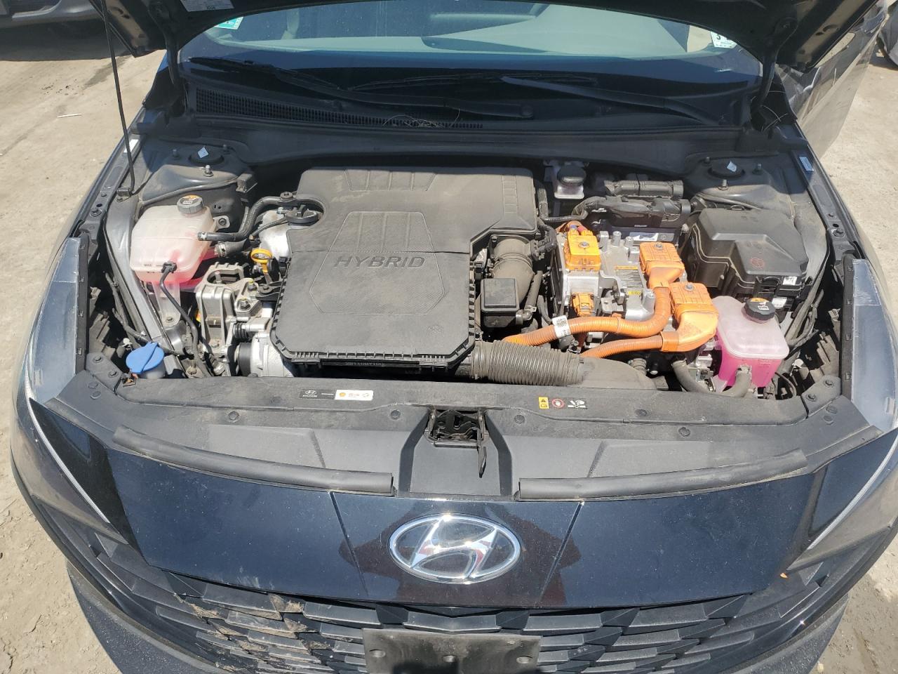 2022 Hyundai Elantra Blue VIN: KMHLM4AJ6NU023911 Lot: 55936134