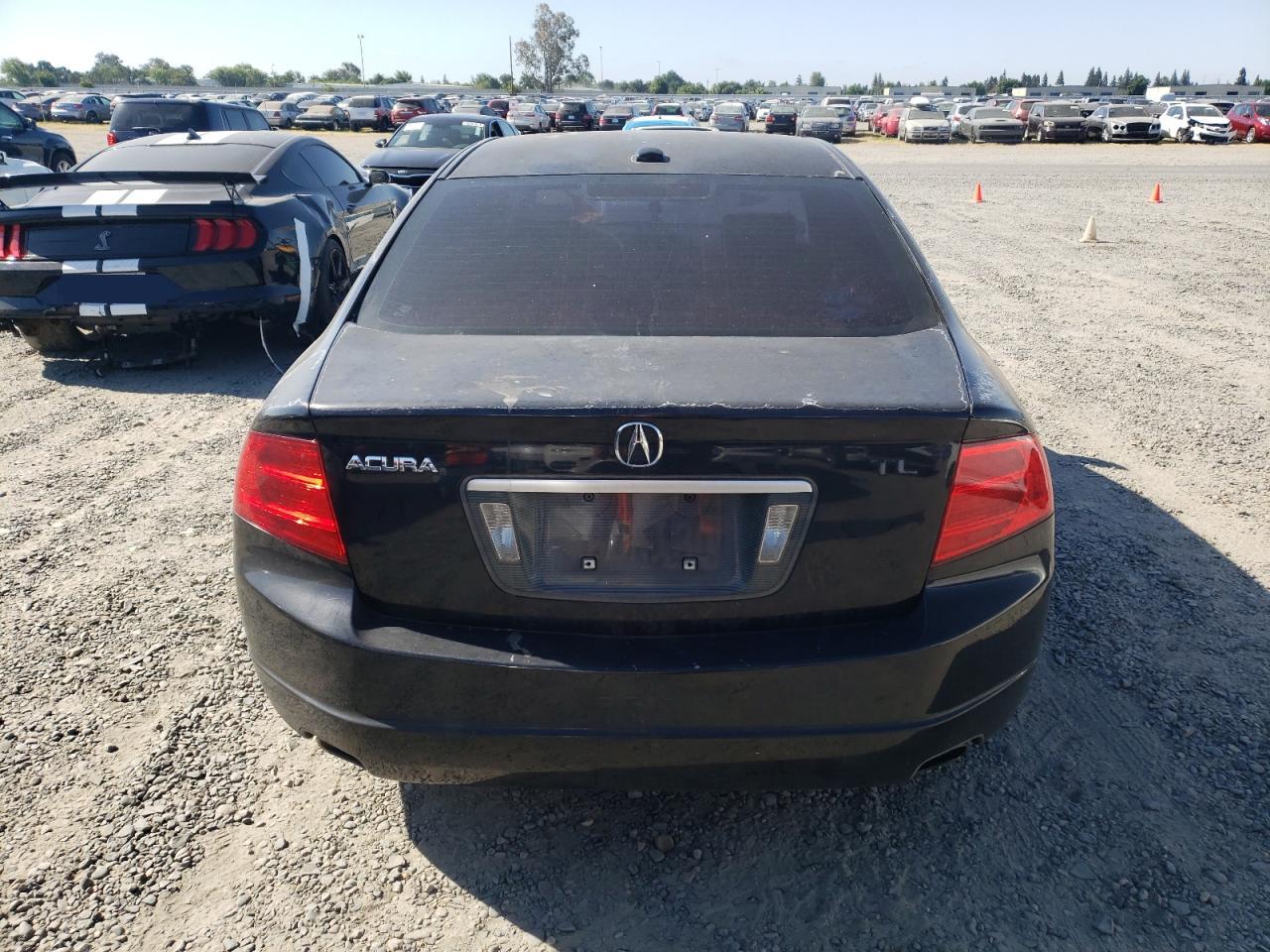 2004 Acura Tl VIN: 19UUA66234A029889 Lot: 55356914