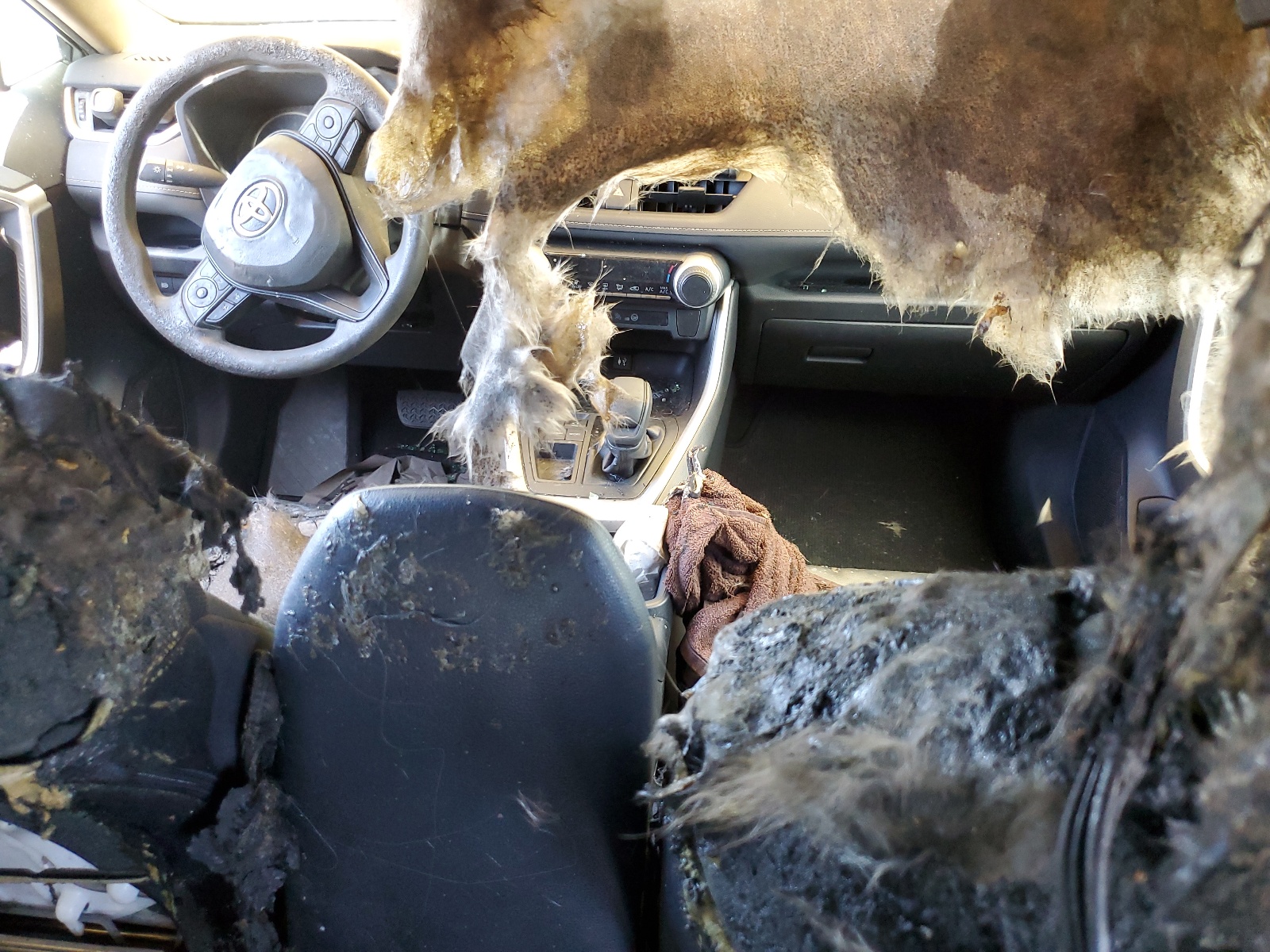 2T3K1RFVXKC019247 2019 Toyota Rav4 Le