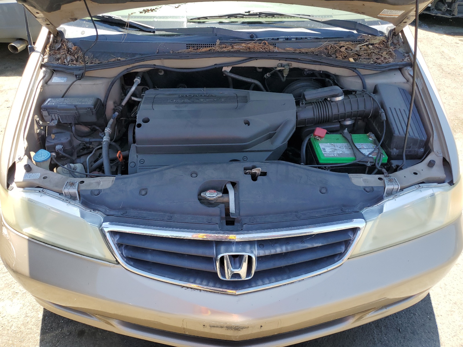 5FNRL18672B016312 2002 Honda Odyssey Ex