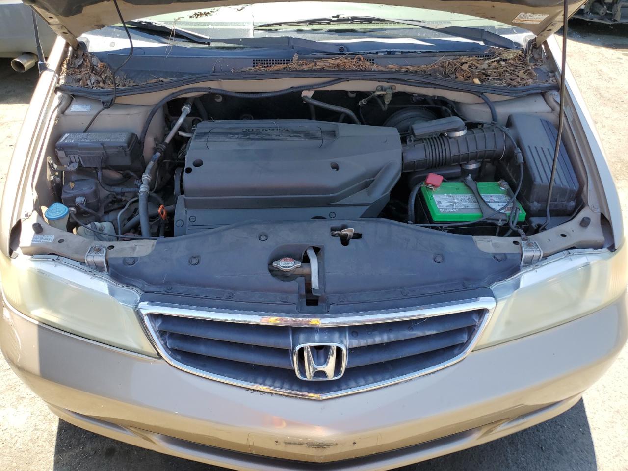 2002 Honda Odyssey Ex VIN: 5FNRL18672B016312 Lot: 57341244