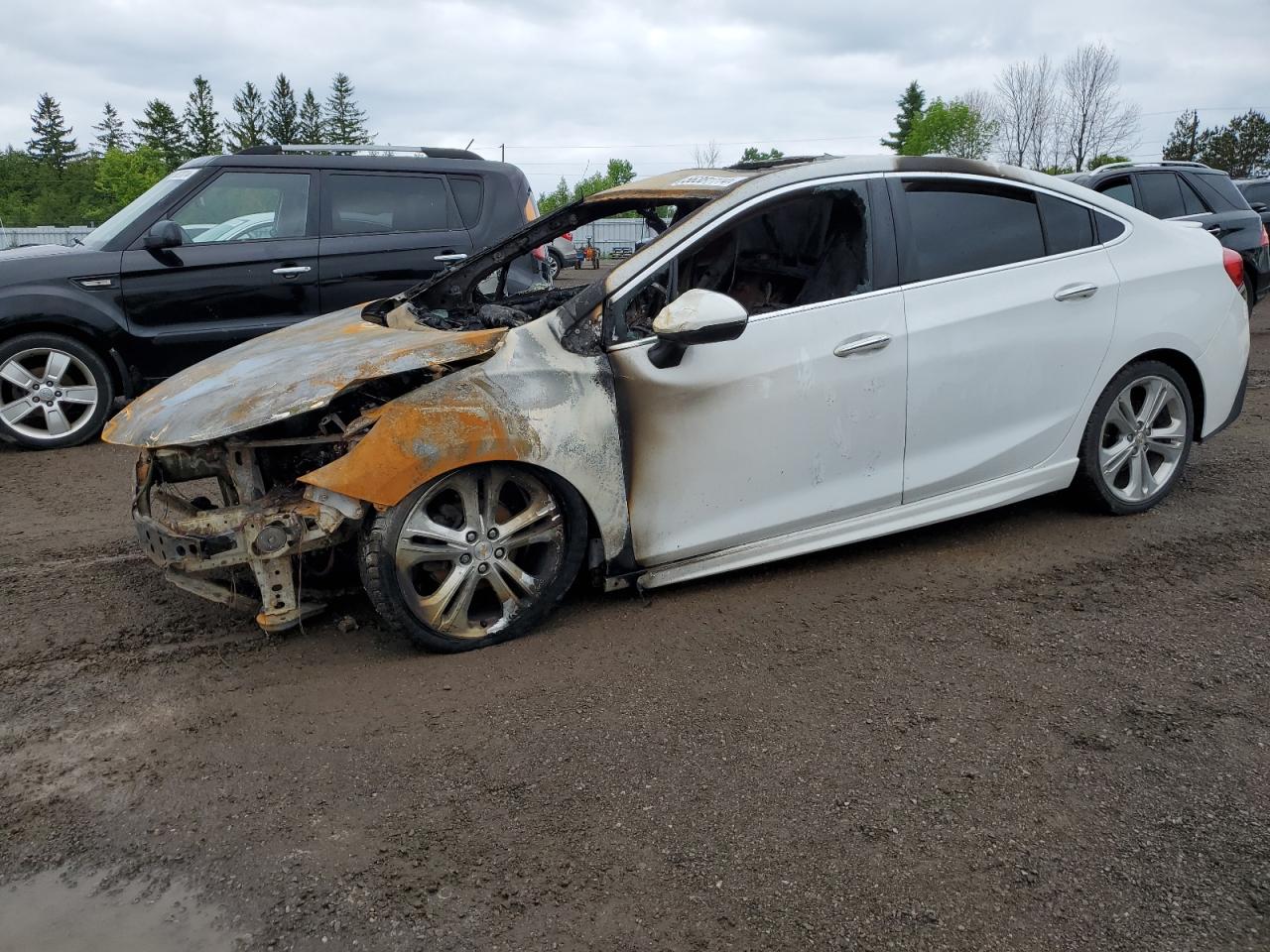 2017 Chevrolet Cruze Premier VIN: 1G1BF5SMXH7146874 Lot: 56381114