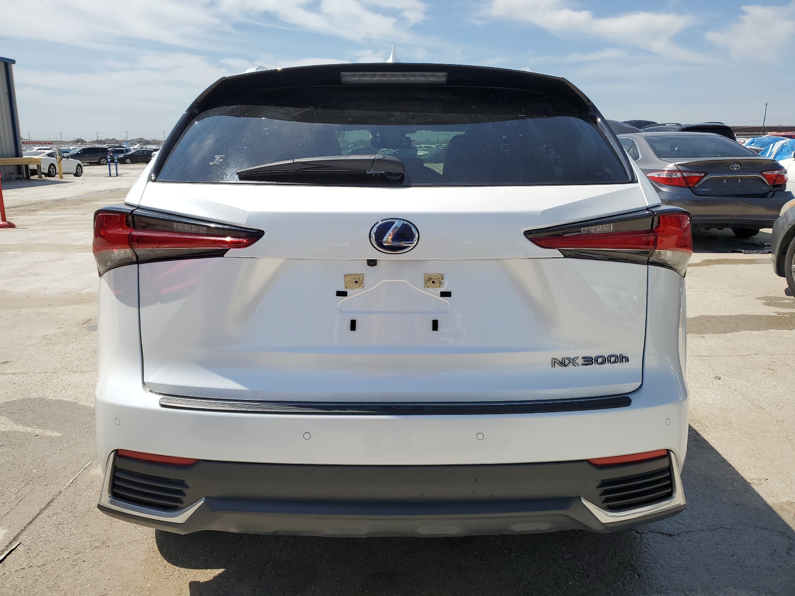 JTJDJRDZ9L5000370 2020 Lexus Nx 300H