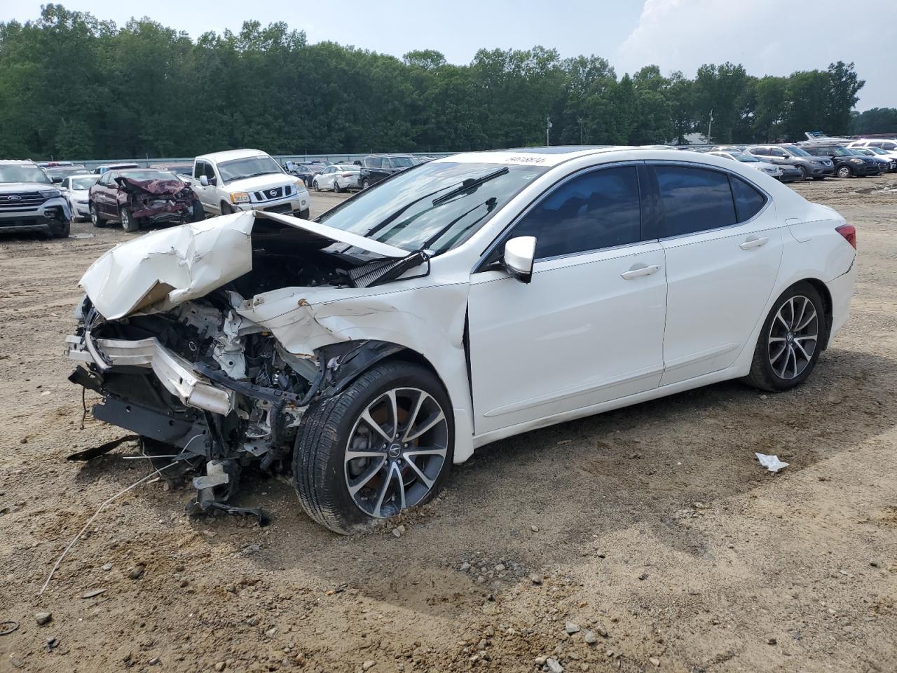 2015 Acura Tlx Tech VIN: 19UUB2F57FA016498 Lot: 54618874