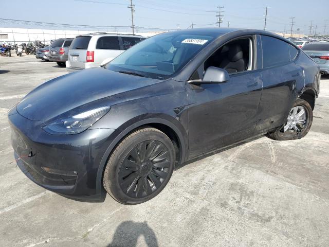  TESLA MODEL Y 2024 Сірий