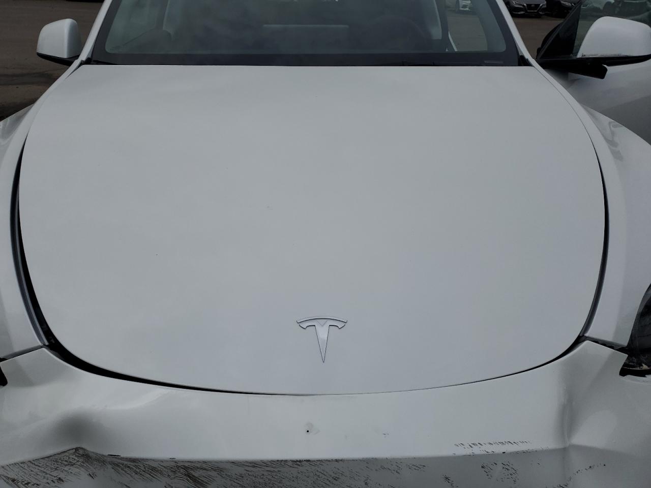 2024 Tesla Model Y VIN: 7SAYGAEE6RF985642 Lot: 53017924