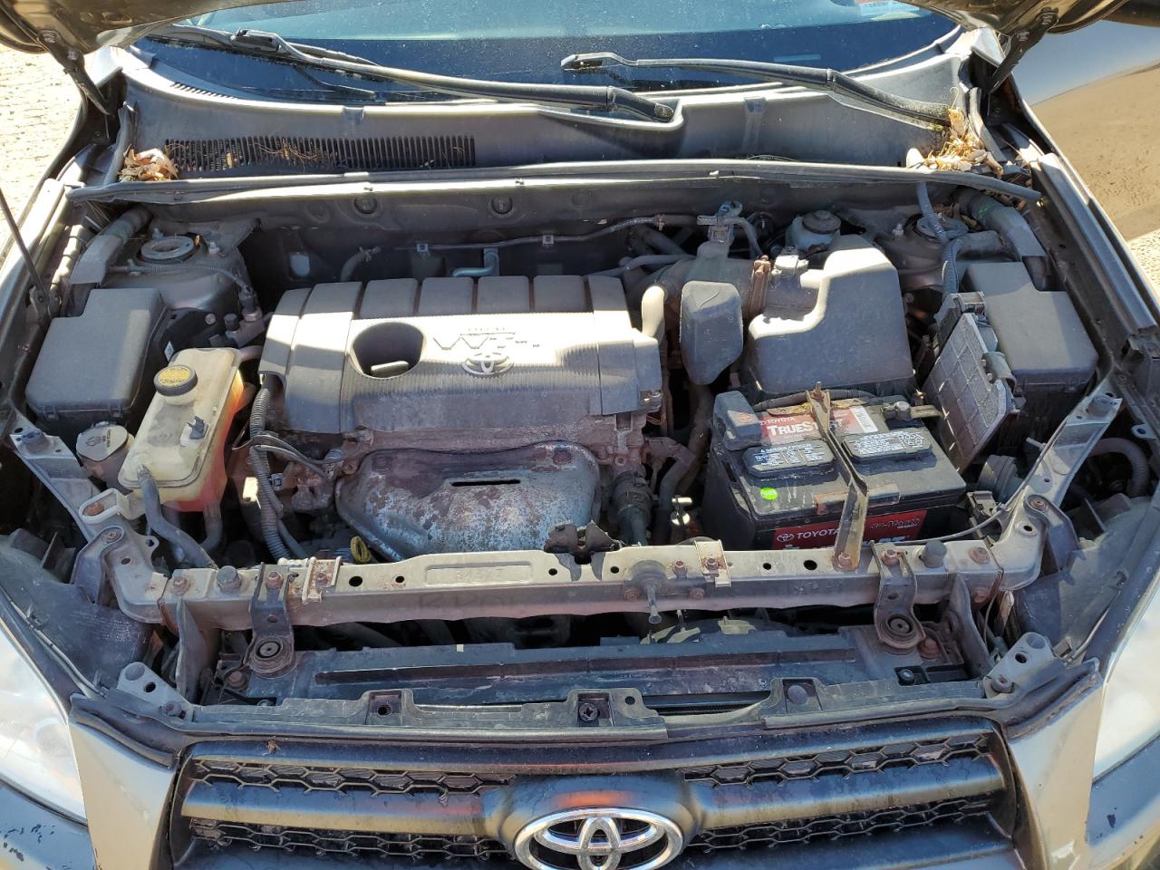 2011 Toyota Rav4 VIN: 2T3BF4DV9BW086539 Lot: 53569004