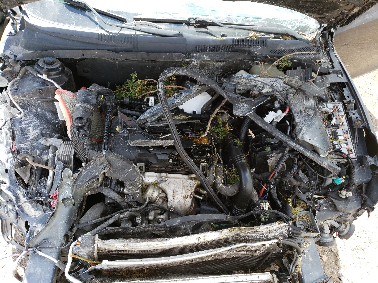 1G1PF5S9XB7171766 2011 Chevrolet Cruze Lt