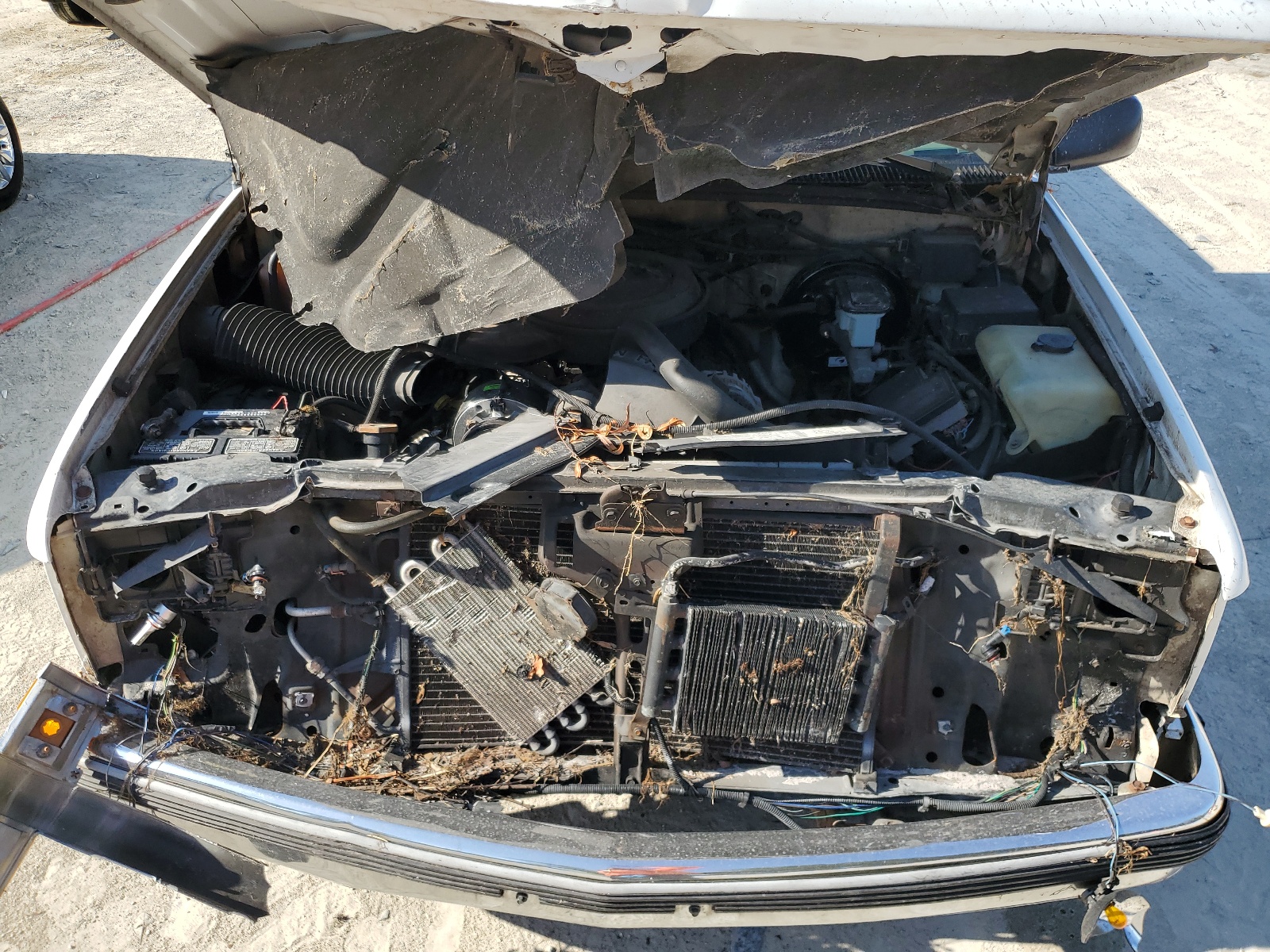 2GCEC19H8S1157472 1995 Chevrolet Gmt-400 C1500