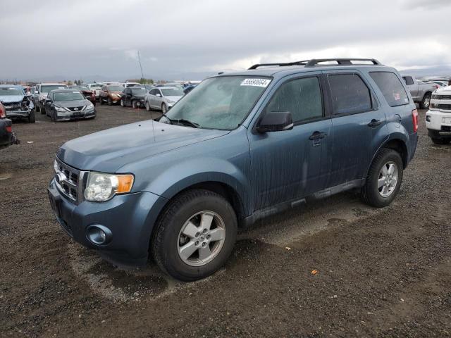 2011 Ford Escape Xlt for Sale in Helena, MT - Side