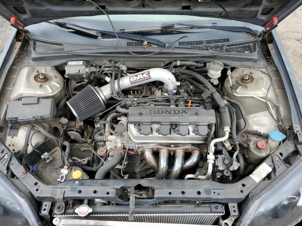 2003 Honda Civic Lx VIN: 1HGEM22513L022043 Lot: 55199184