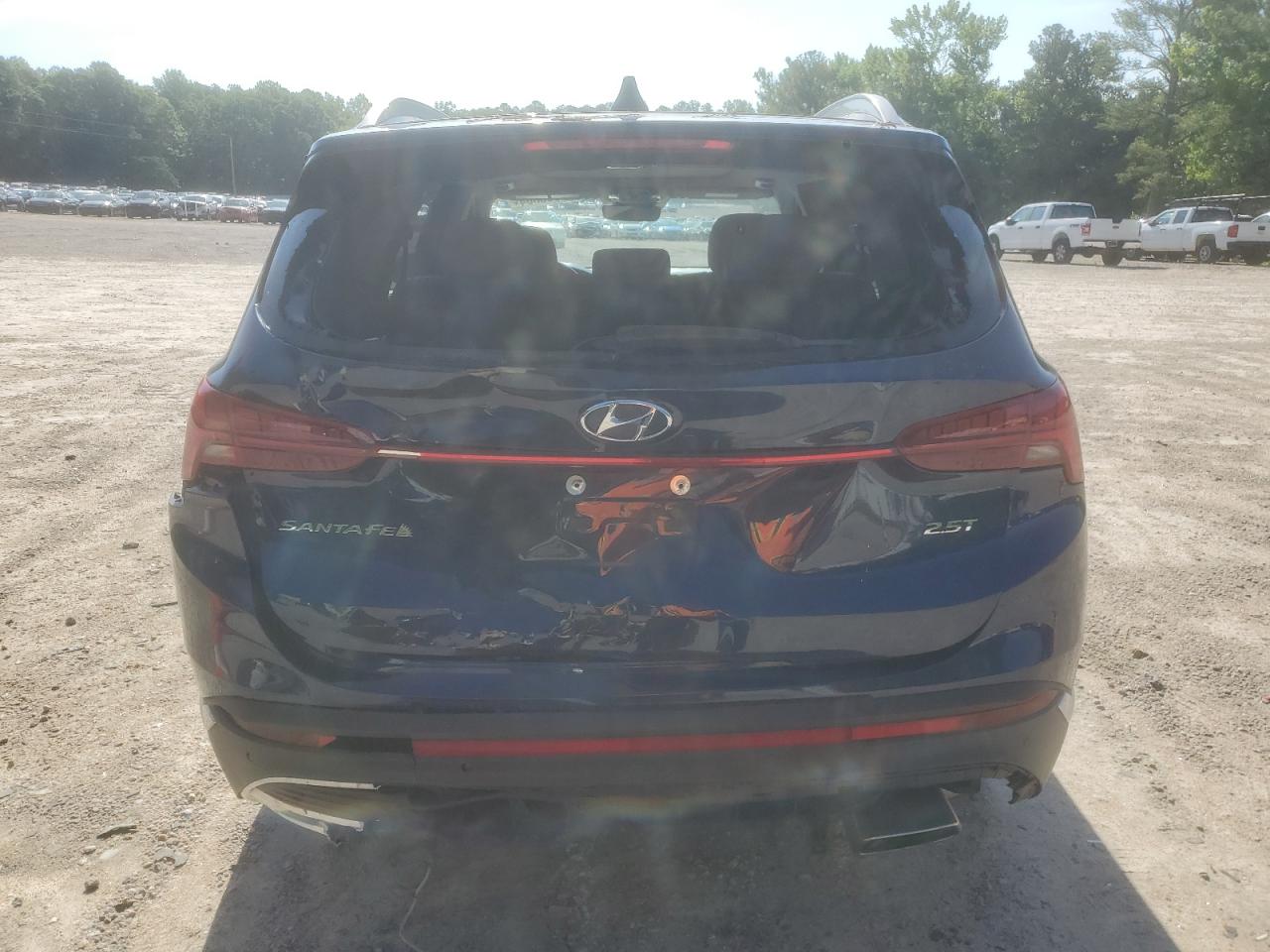 2021 Hyundai Santa Fe Limited VIN: 5NMS44AL7MH323237 Lot: 56335304