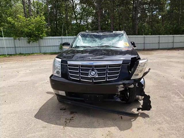 2011 Cadillac Escalade Premium VIN: 1GYS4CEF4BR257988 Lot: 56014964