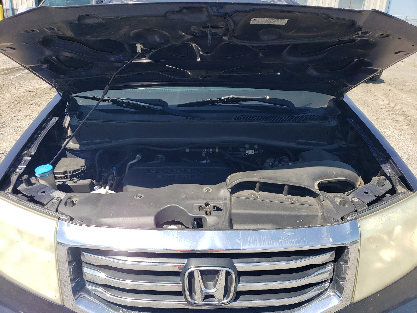 5FNYF3H51DB021059 2013 Honda Pilot Exl