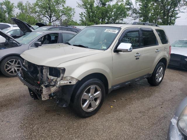 2012 Ford Escape Xlt for Sale in Bridgeton, MO - Front End