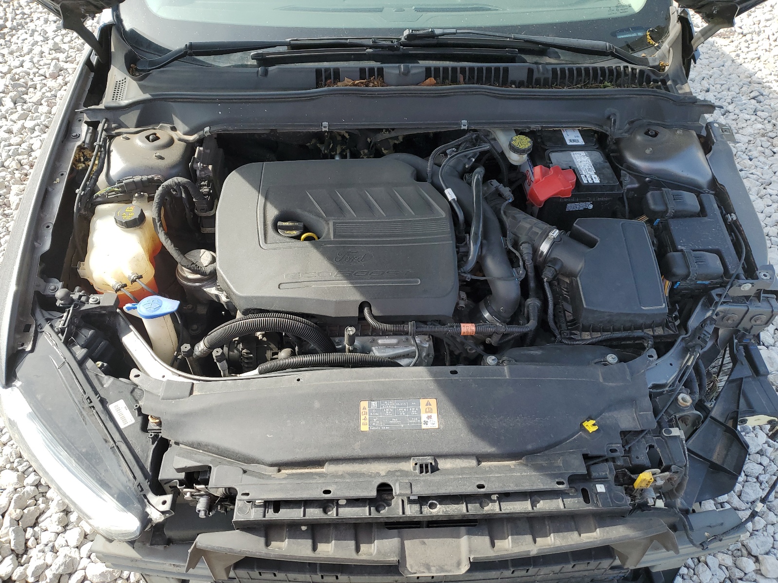 3FA6P0HD8ER314523 2014 Ford Fusion Se