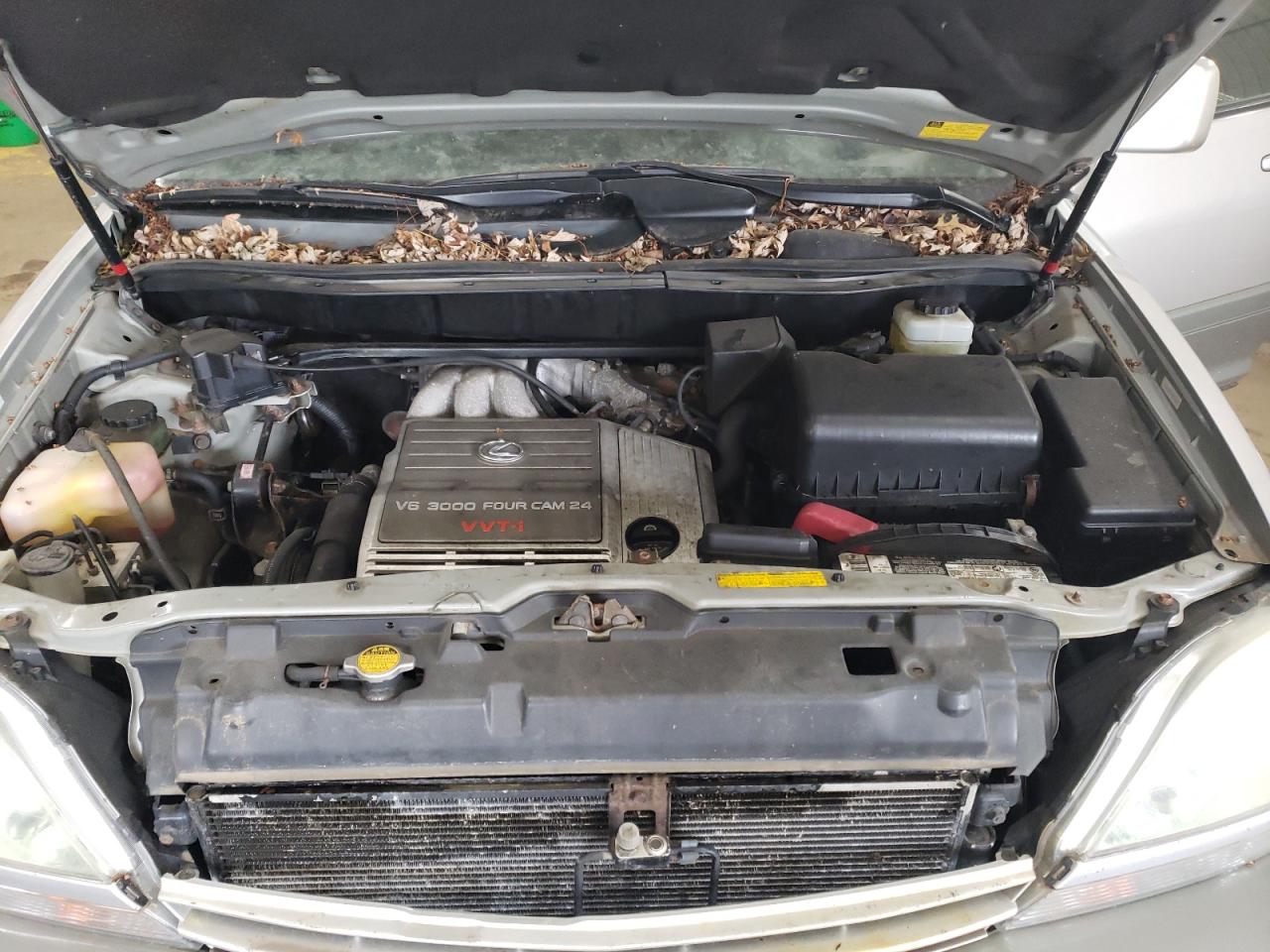 2002 Lexus Rx 300 VIN: JTJHF10U120273264 Lot: 54838054