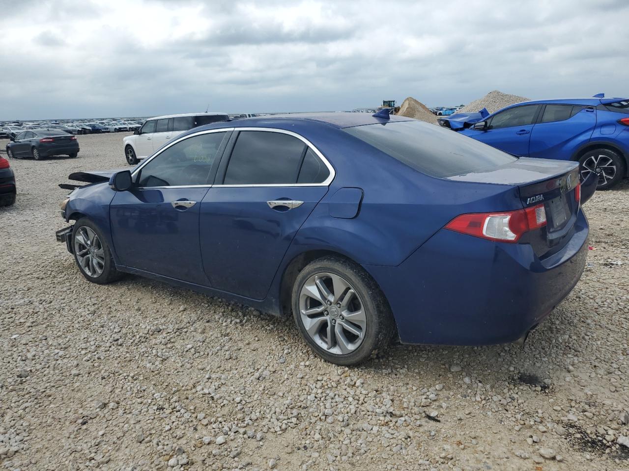 2009 Acura Tsx VIN: JH4CU26699C028382 Lot: 53696424