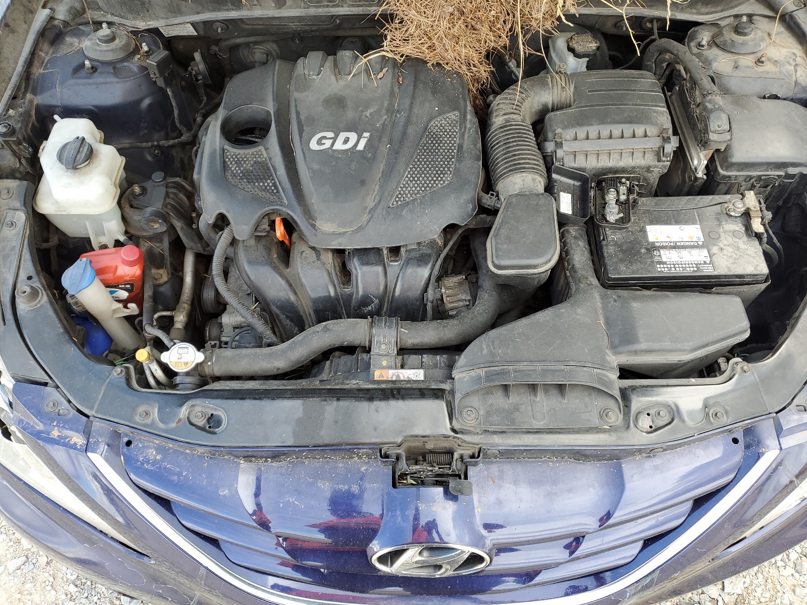 5NPEB4AC6DH620599 2013 Hyundai Sonata Gls