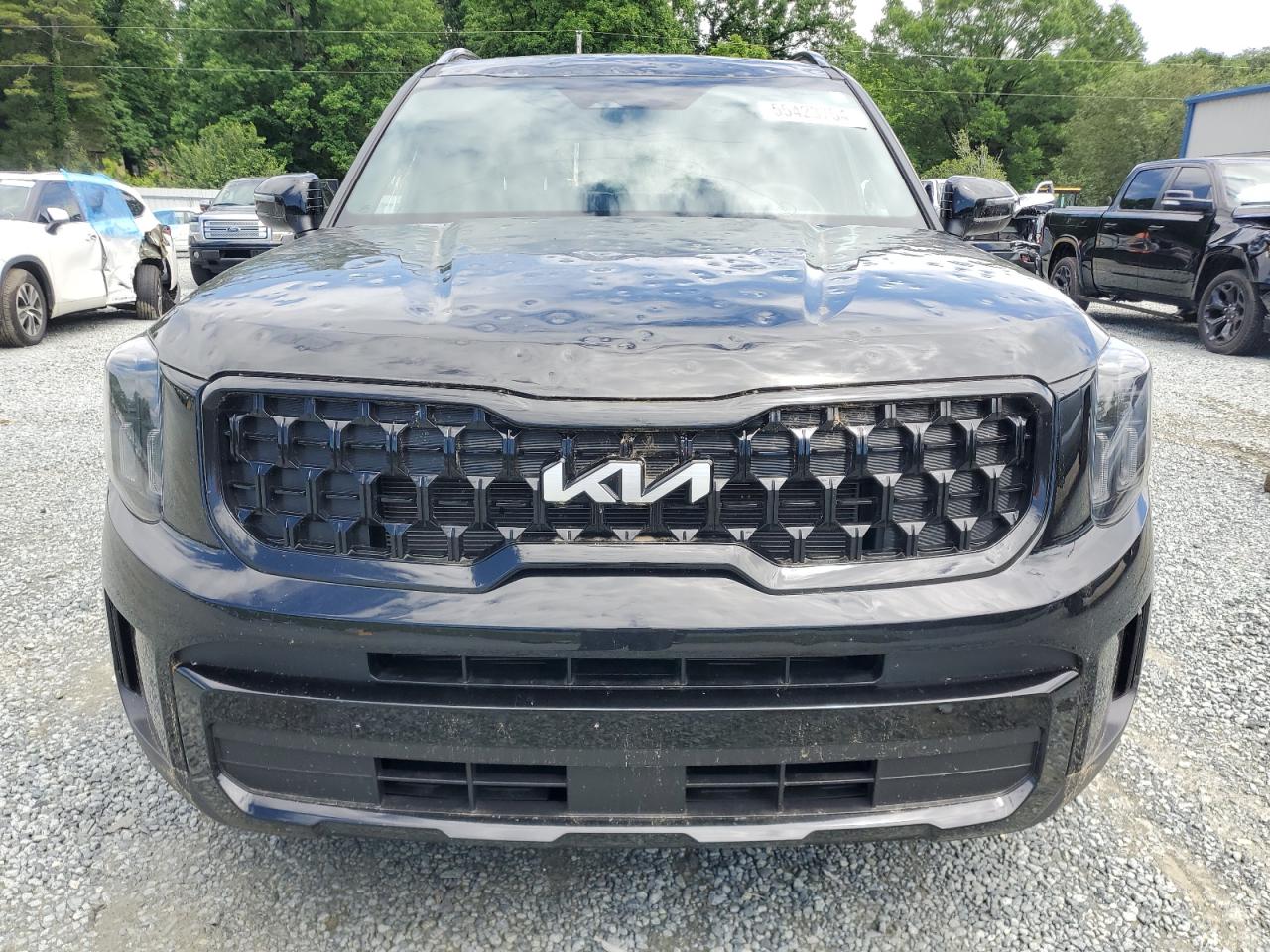 2024 Kia Telluride Ex VIN: 5XYP3DGC6RG446545 Lot: 55420754