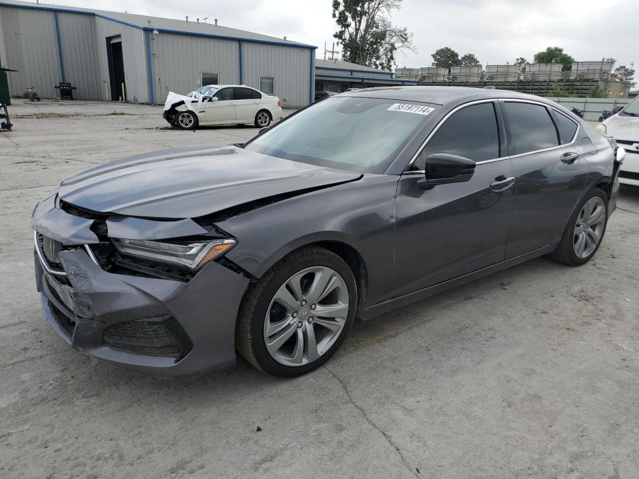 2021 Acura Tlx Technology VIN: 19UUB5F43MA009277 Lot: 55197114