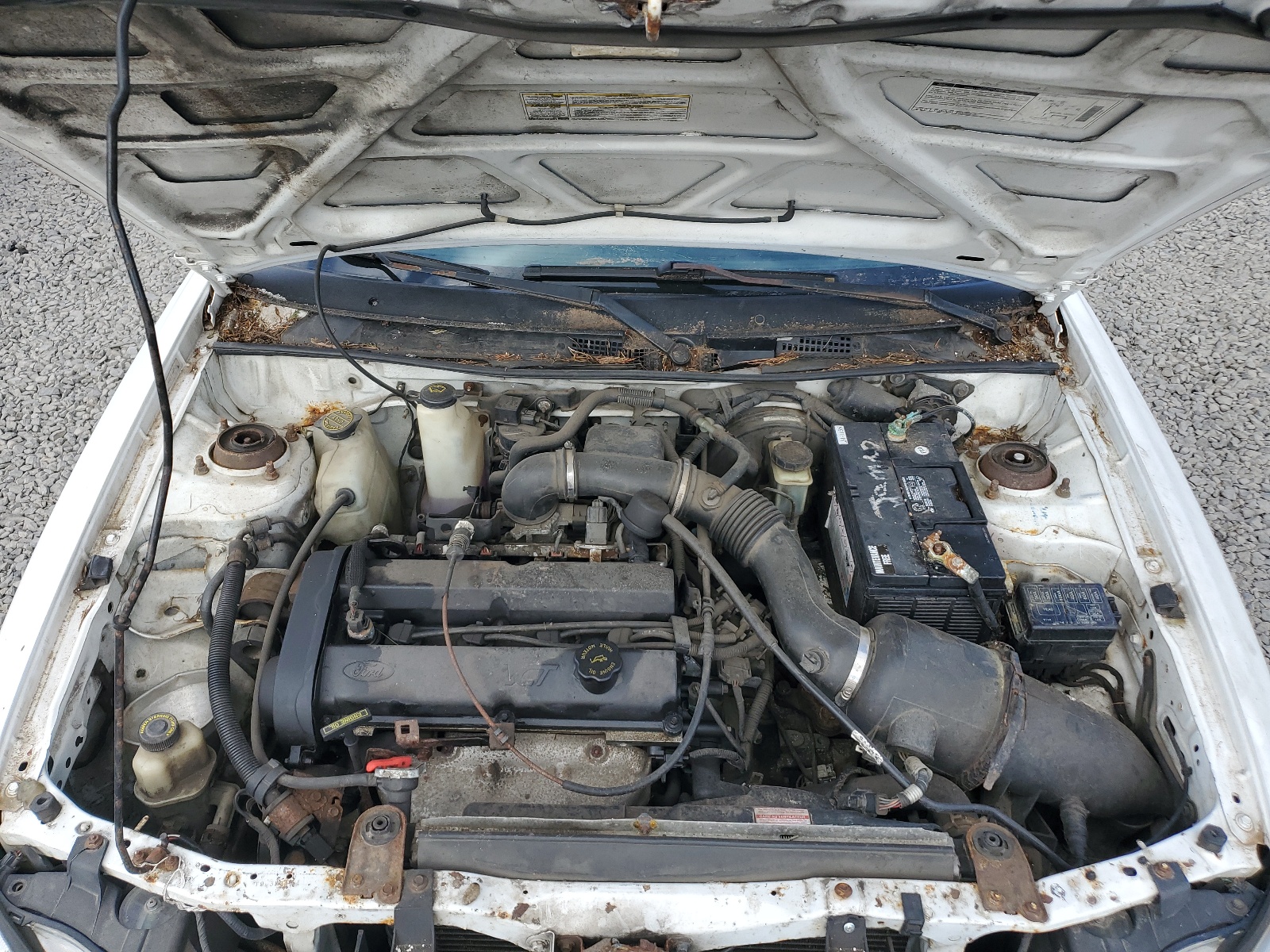 3FAKP1134YR141271 2000 Ford Escort Zx2