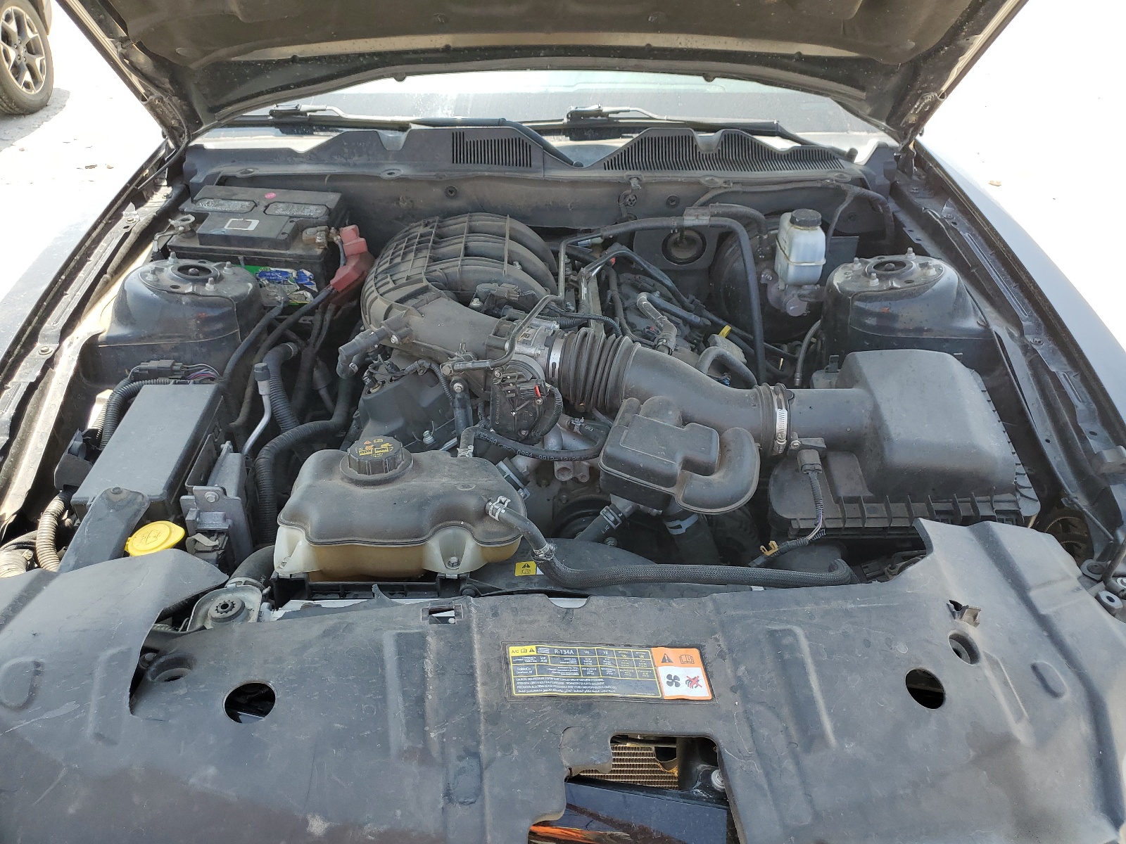 1ZVBP8AM7E5310173 2014 Ford Mustang