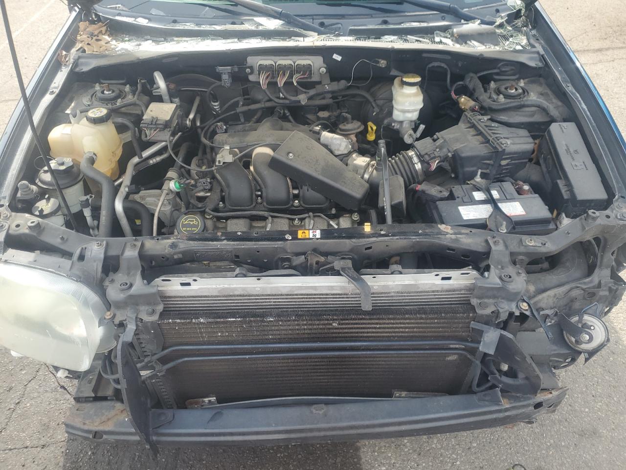 2006 Ford Escape Limited VIN: 1FMCU941X6KC25706 Lot: 56044924