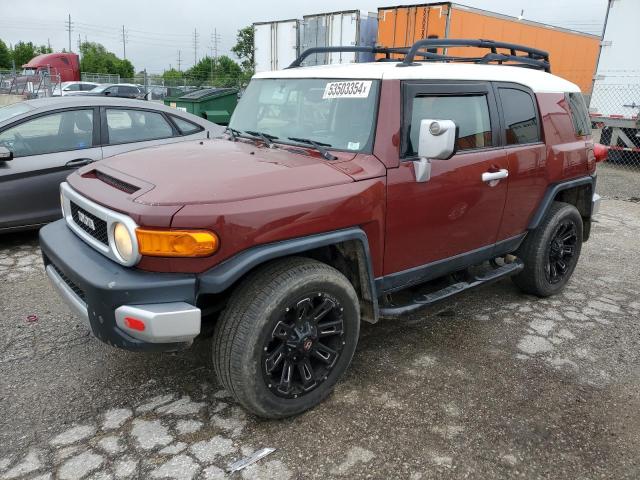 2010 Toyota Fj Cruiser 