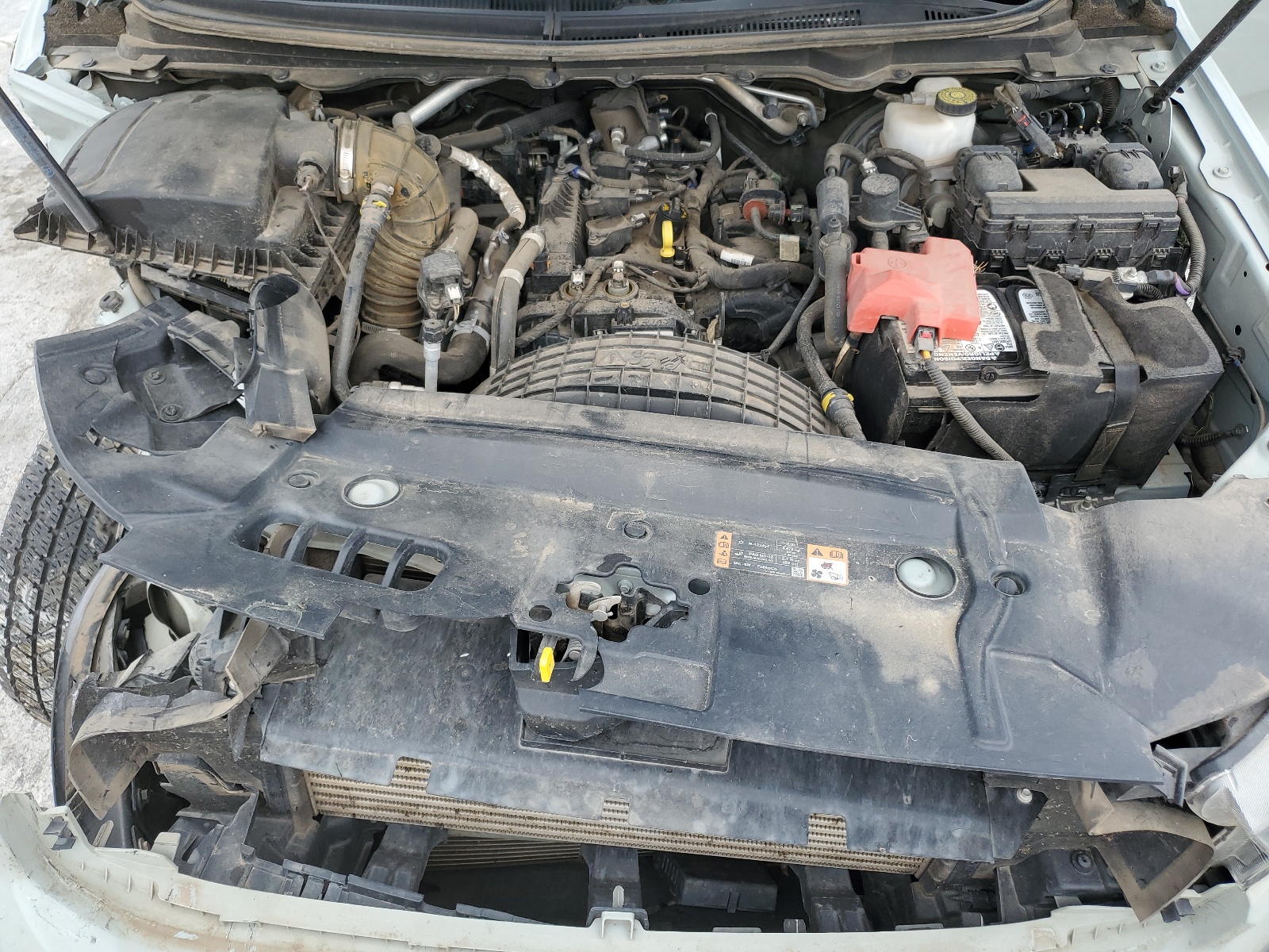 1FTER4FH0MLD51172 2021 Ford Ranger Xl