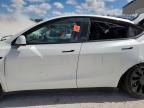 2022 Tesla Model Y  for Sale in Apopka, FL - All Over