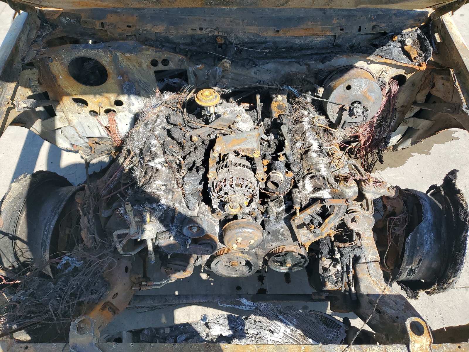 2FAFP74W0WX117445 1998 Ford Crown Victoria Lx