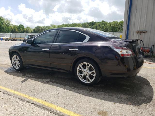  NISSAN MAXIMA 2013 Purple