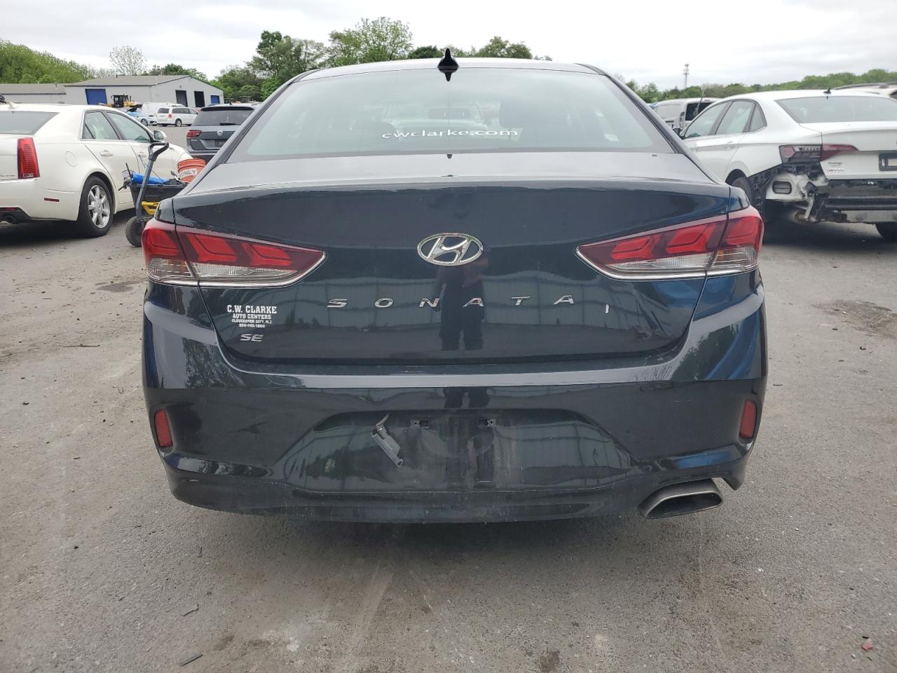 5NPE24AF5KH793201 2019 Hyundai Sonata Se