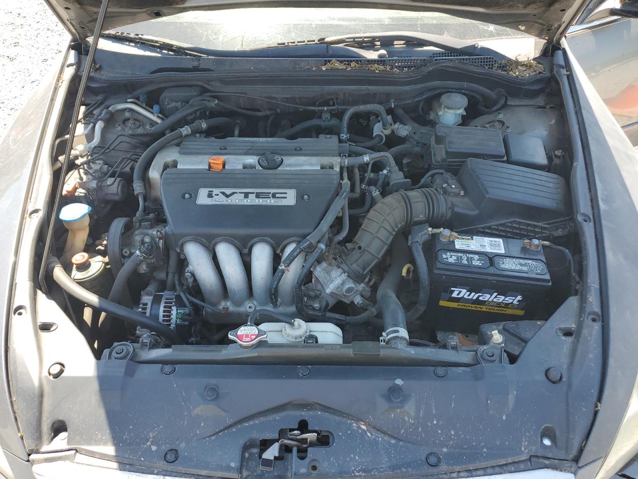 2006 Honda Accord Ex VIN: 1HGCM56896A108438 Lot: 53409134