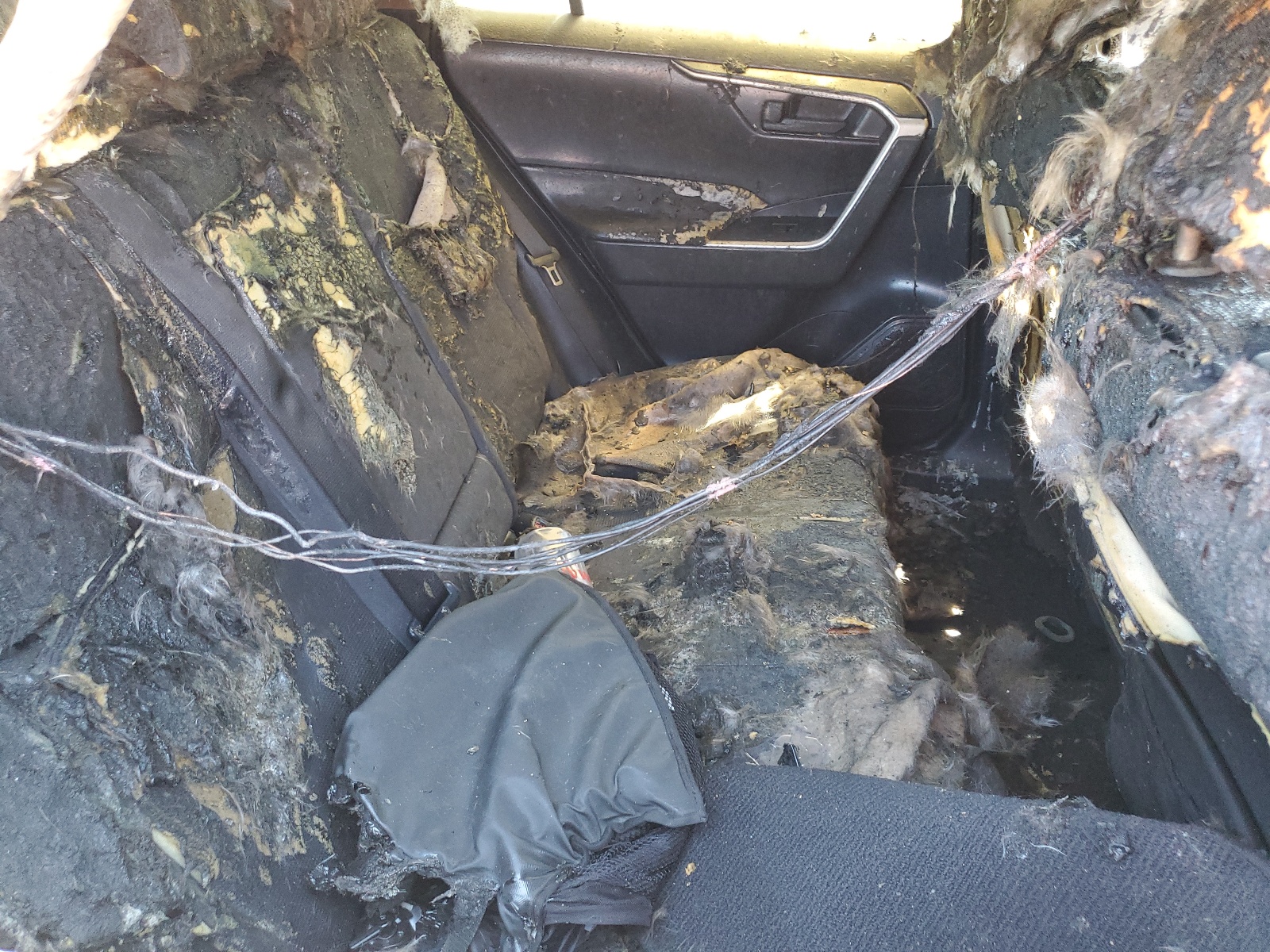 2T3K1RFVXKC019247 2019 Toyota Rav4 Le