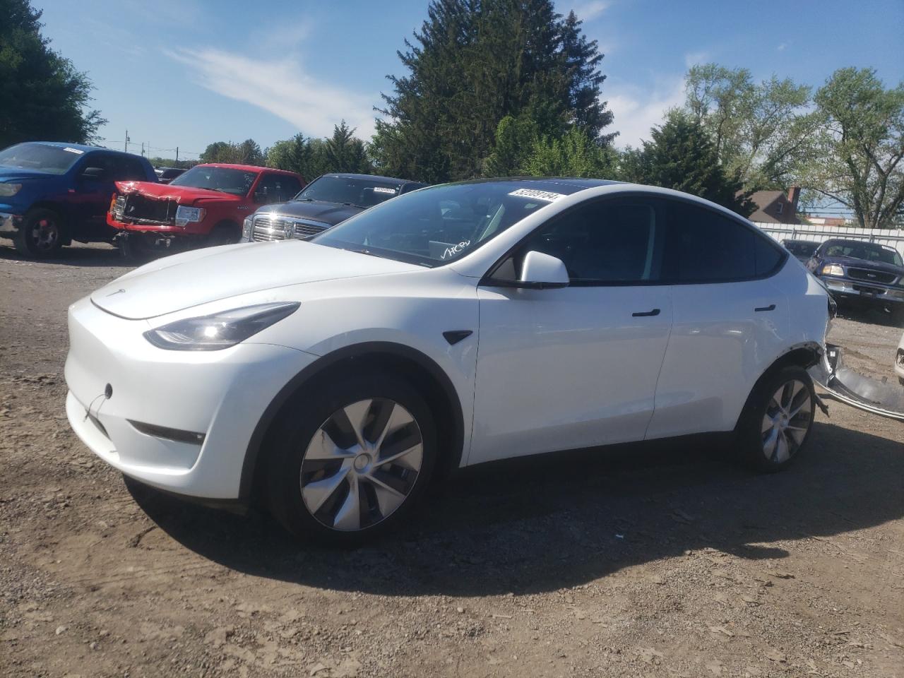 2023 Tesla Model Y VIN: 7SAYGDEE2PF685336 Lot: 52209184