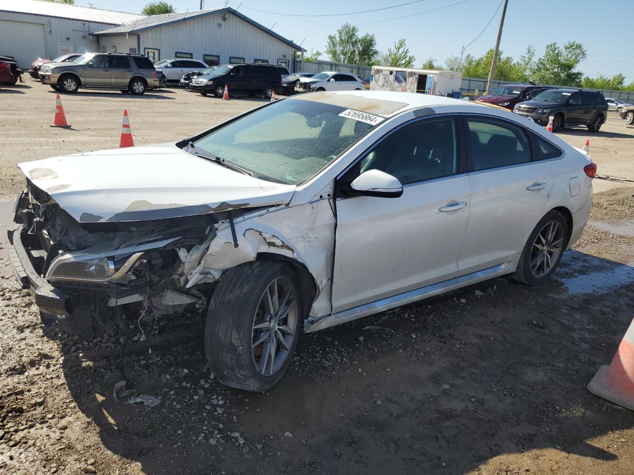 2017 Hyundai Sonata Sport VIN: 5NPE34ABXHH513601 Lot: 52695864