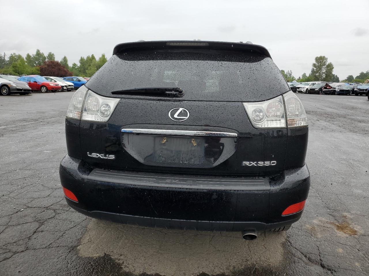 2007 Lexus Rx 350 VIN: JTJGK31U370003204 Lot: 55724534