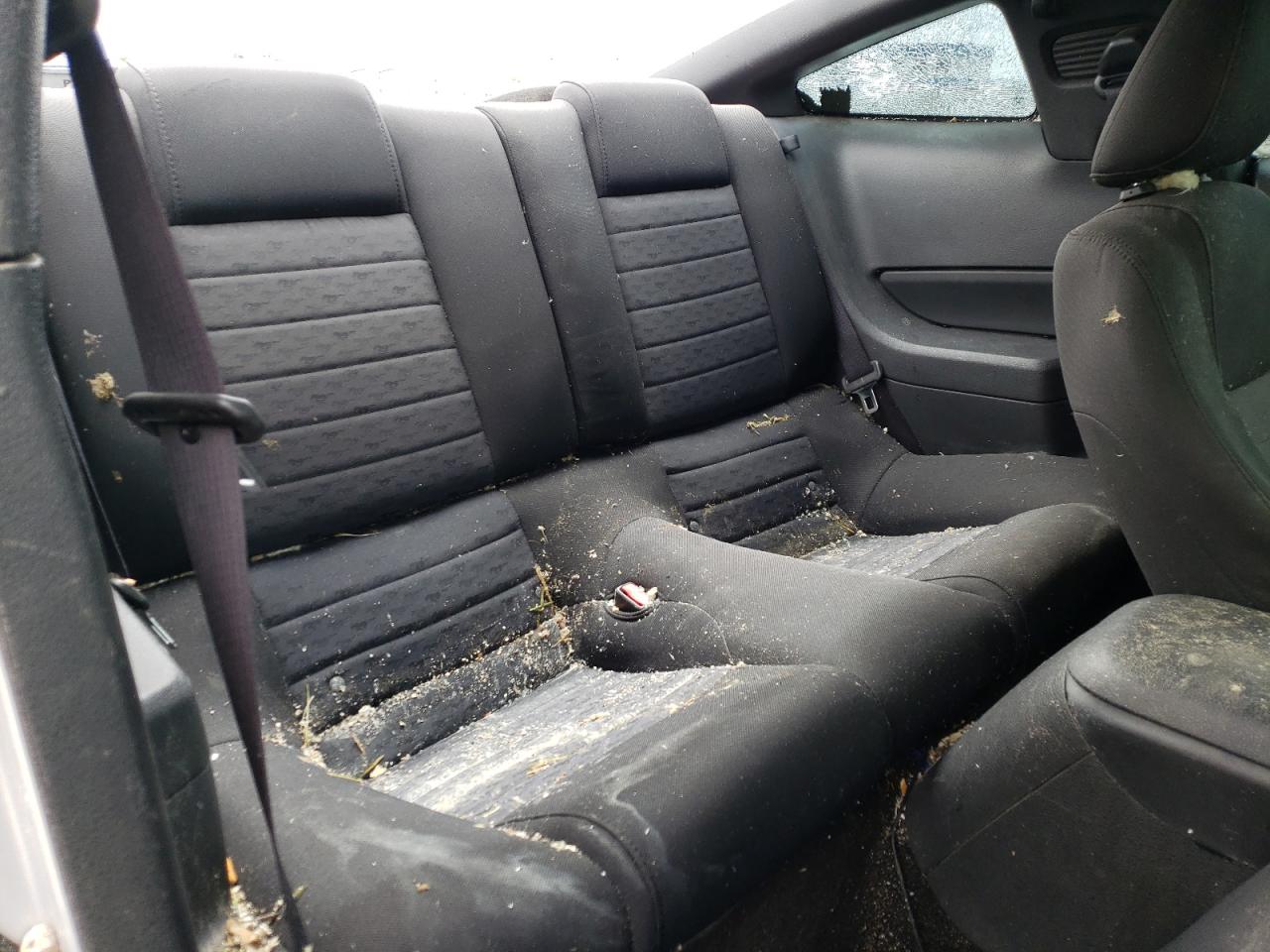 2006 Ford Mustang Gt VIN: 1ZVFT82H565197470 Lot: 53314974