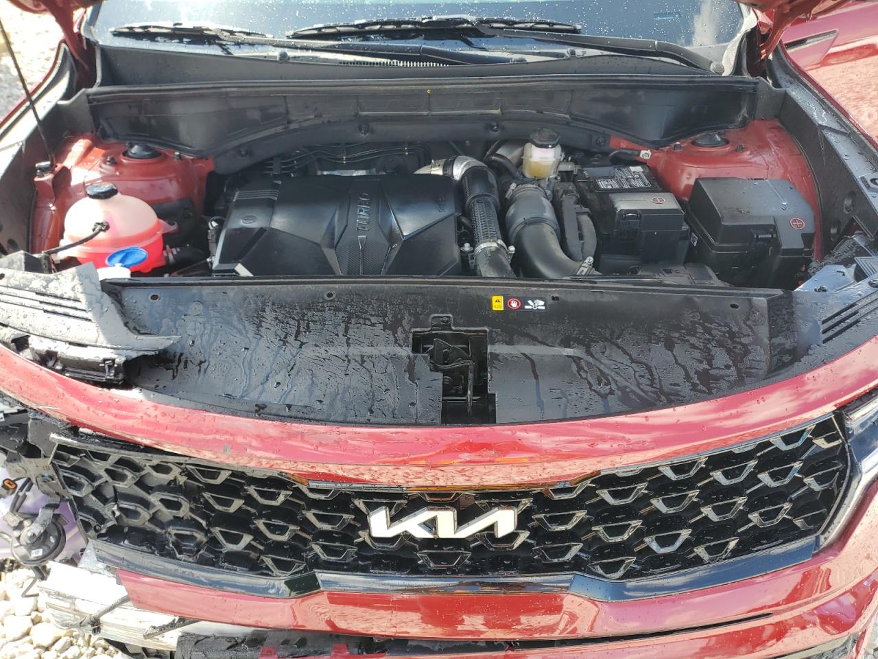 2022 Kia Sorento Sx VIN: 5XYRKDLF8NG155275 Lot: 53167084