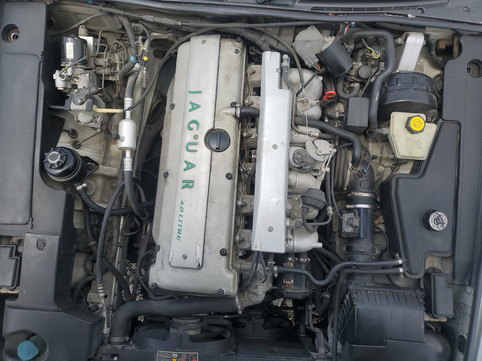 SAJKX6740TC763057 1996 Jaguar Vandenplas