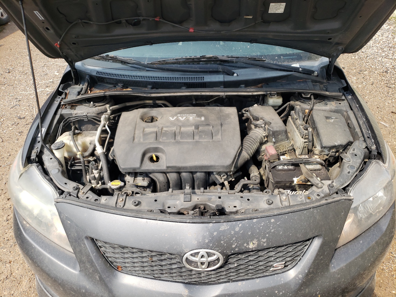 1NXBU40E59Z006619 2009 Toyota Corolla Base