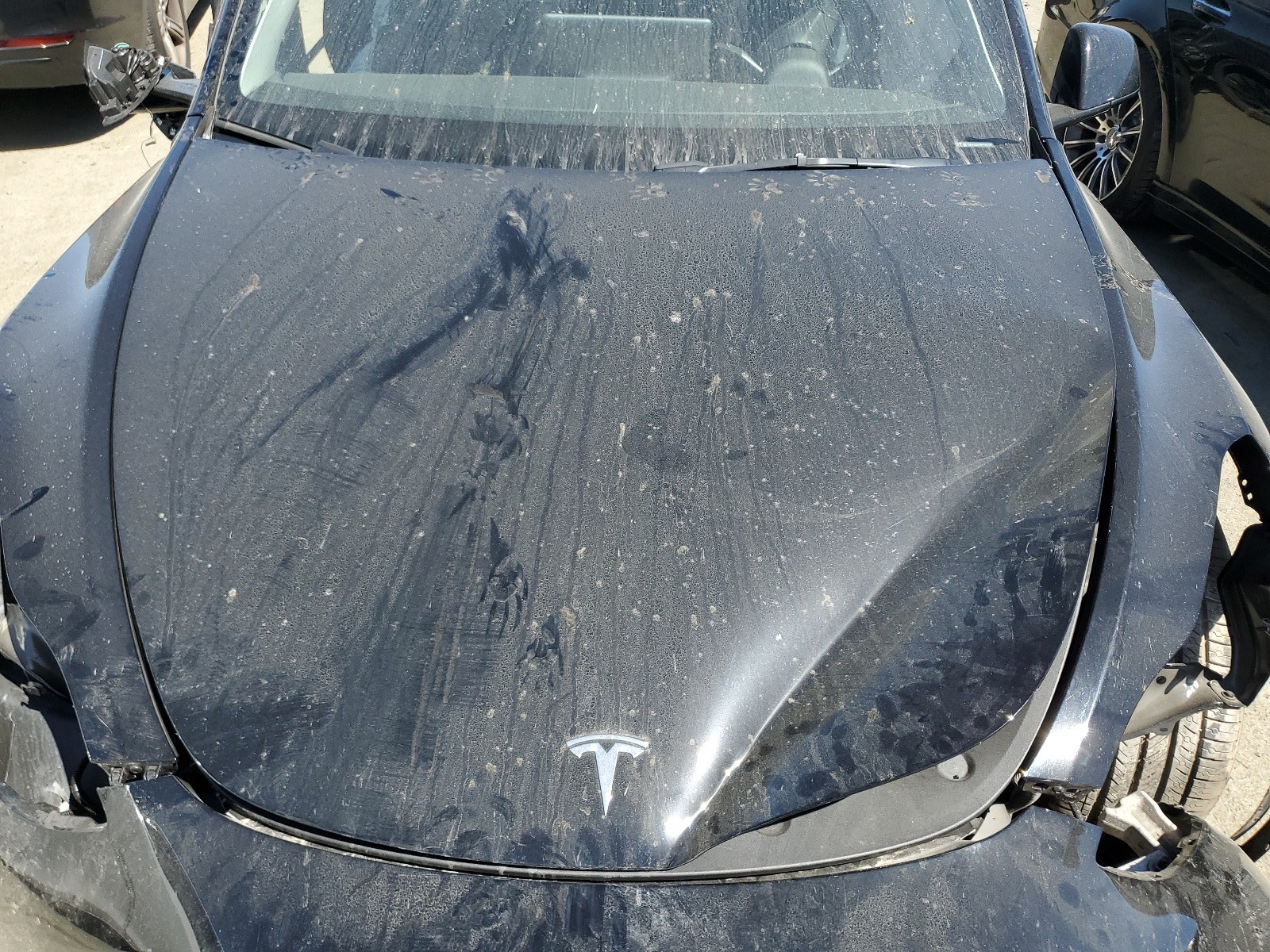 7SAYGDEF8PF920587 2023 Tesla Model Y