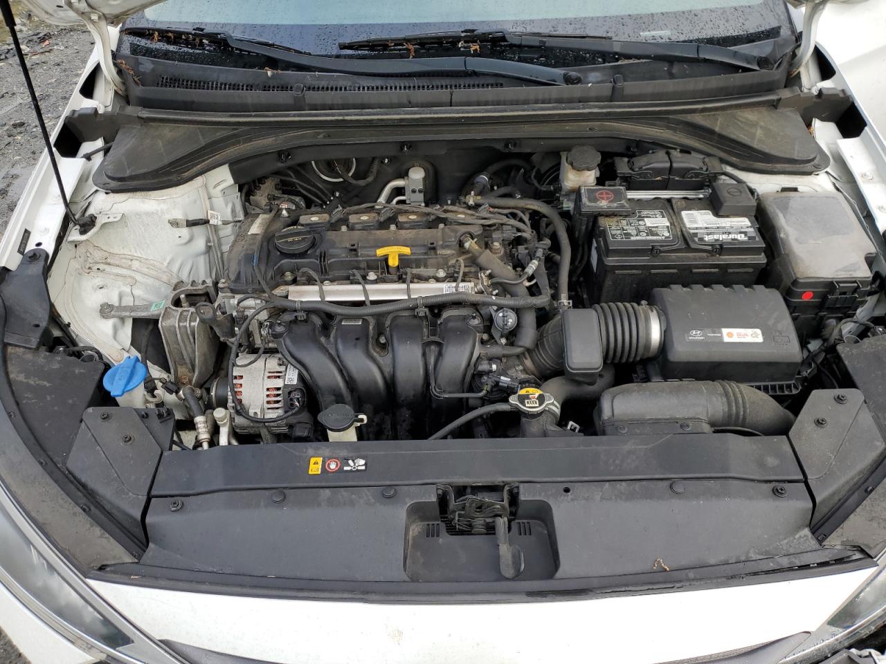 2019 Hyundai Elantra Sel VIN: 5NPD84LF5KH420490 Lot: 53510544