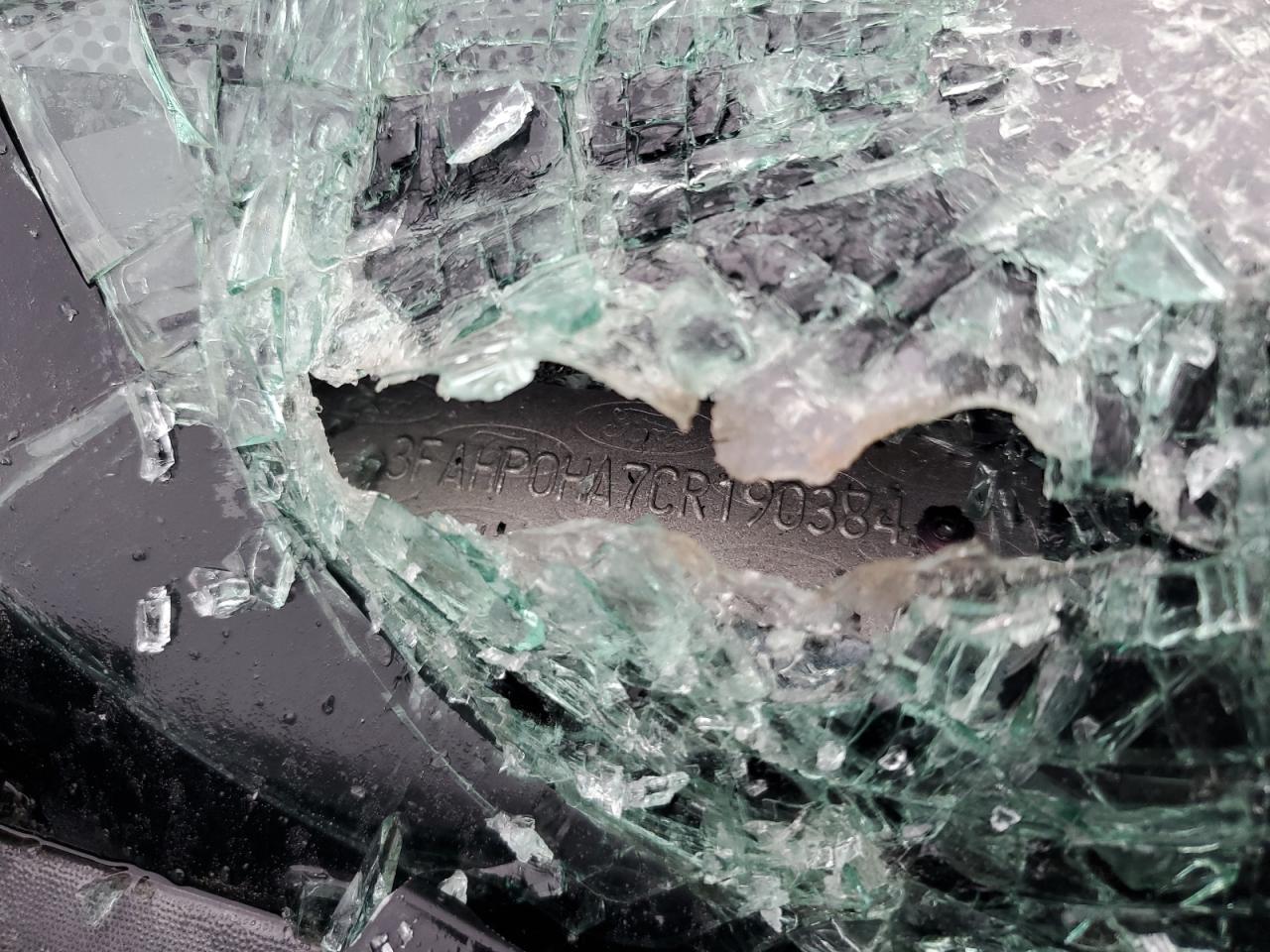 2012 Ford Fusion Se VIN: 3FAHP0HA7CR190384 Lot: 54138374