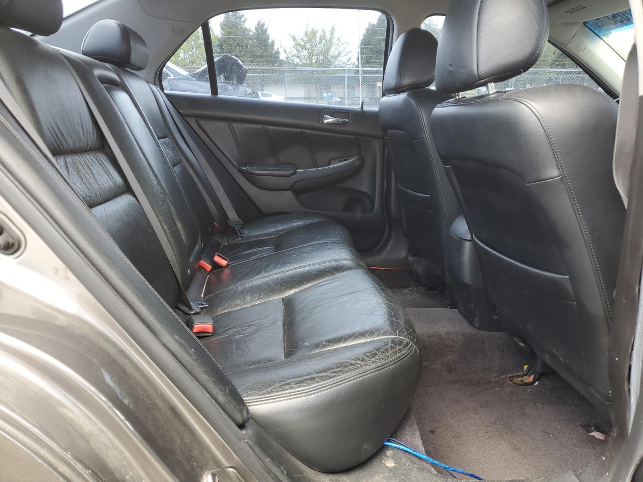 2006 Honda Accord Ex VIN: 1HGCM56806A088306 Lot: 55970584