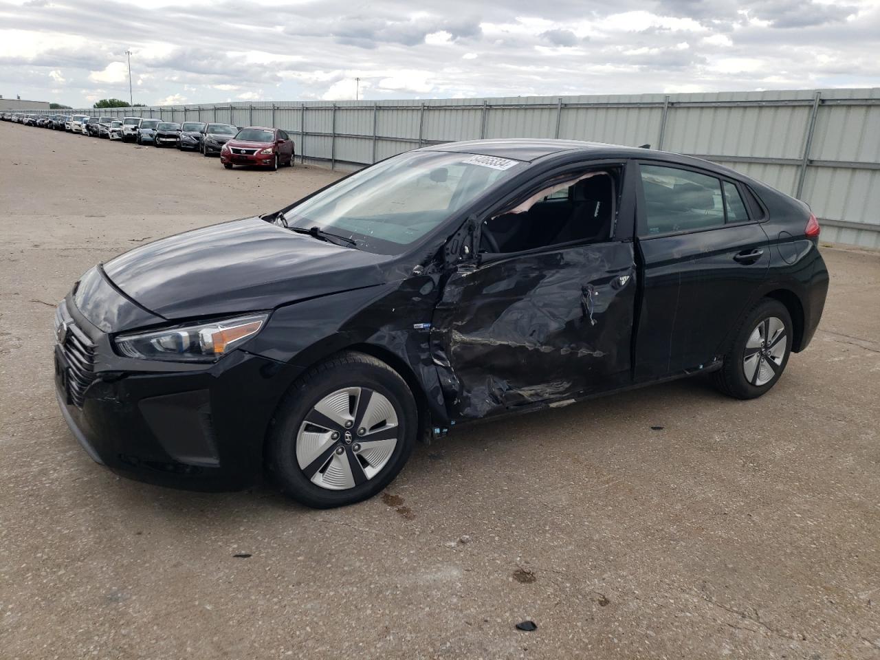 2019 Hyundai Ioniq Blue VIN: KMHC65LC2KU141769 Lot: 54065334